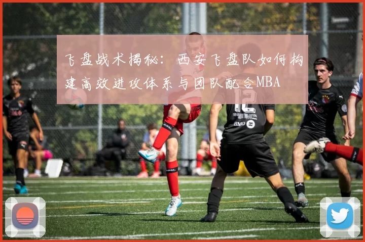 飞盘战术揭秘：西安飞盘队如何构建高效进攻体系与团队配合MBA