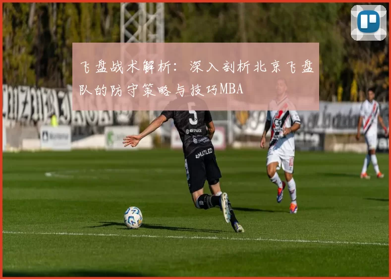 飞盘战术解析：深入剖析北京飞盘队的防守策略与技巧MBA