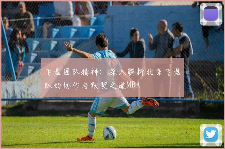 飞盘团队精神：深入解析北京飞盘队的协作与默契之道MBA