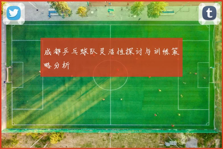 成都乒乓球队灵活性探讨与训练策略分析